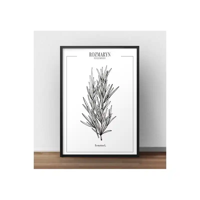 Plakat do kuchni "Rozmaryn" Oferta