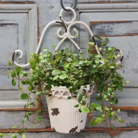 Bezpieczna płatność Osłonka Do Zawieszenia Chic Antique Mała